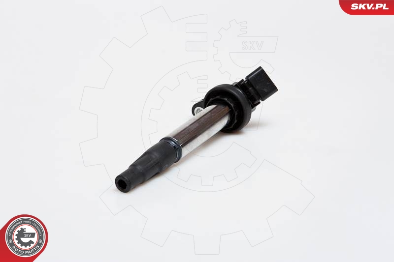 SKV 03SKV173