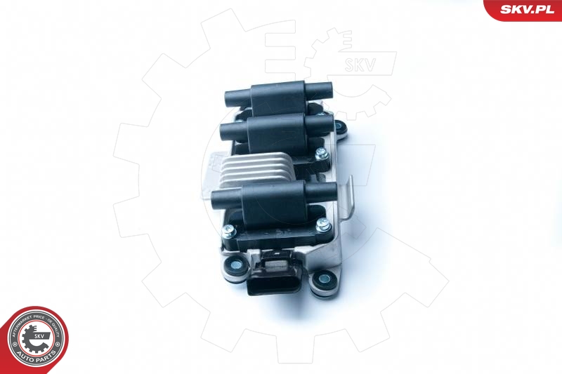 SKV 03SKV216