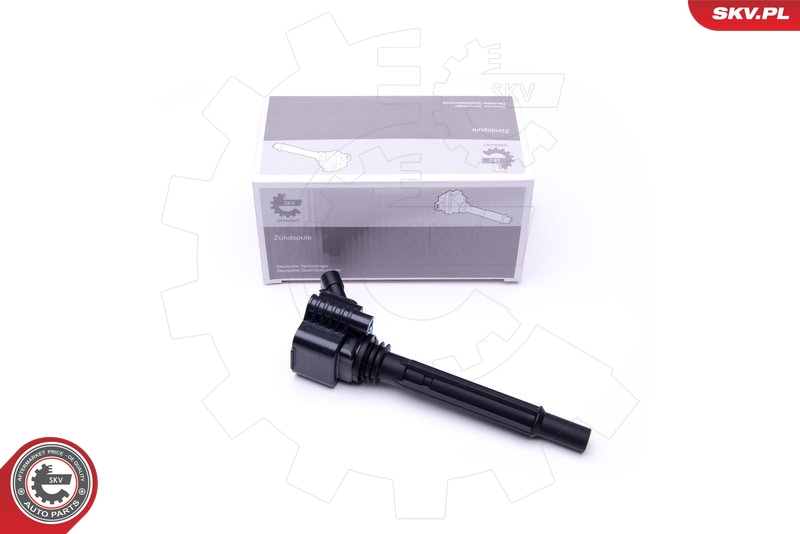 SKV 03SKV281