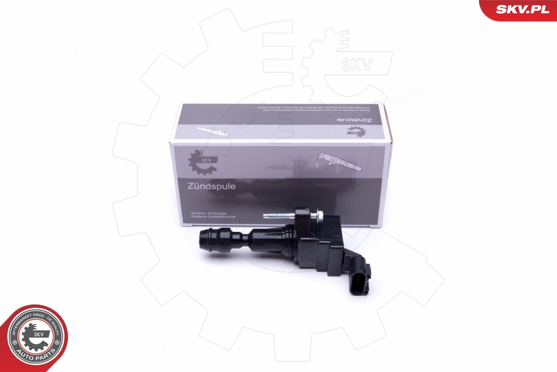SKV 03SKV296