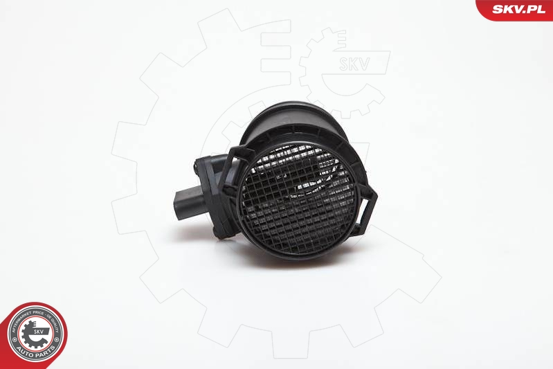 SKV 07SKV079
