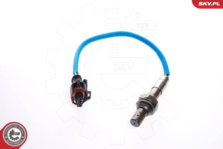 SKV 09SKV041