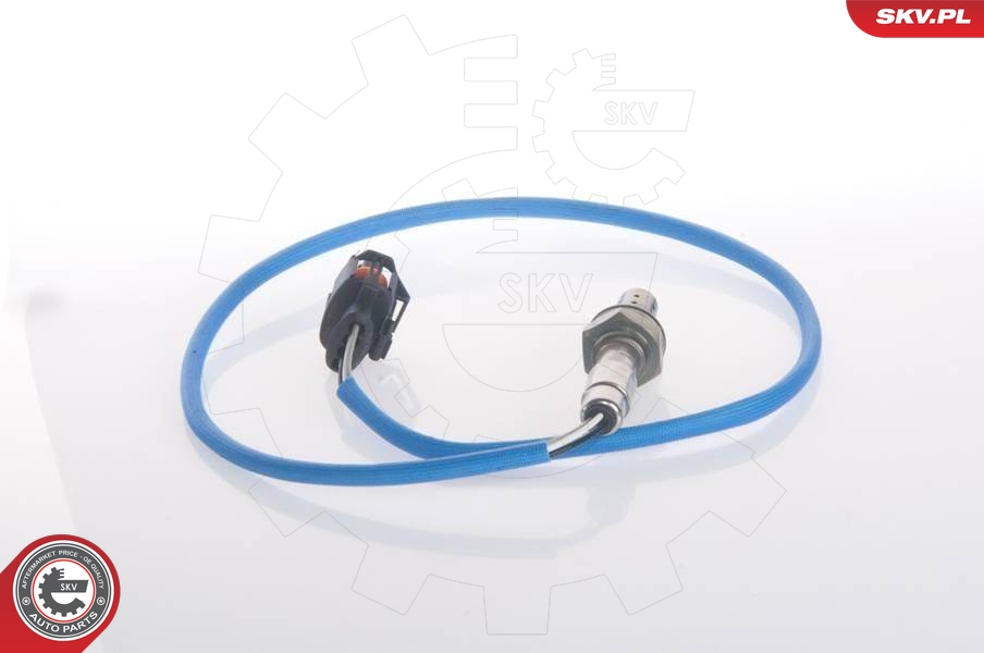 SKV 09SKV053