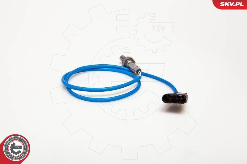 SKV 09SKV060