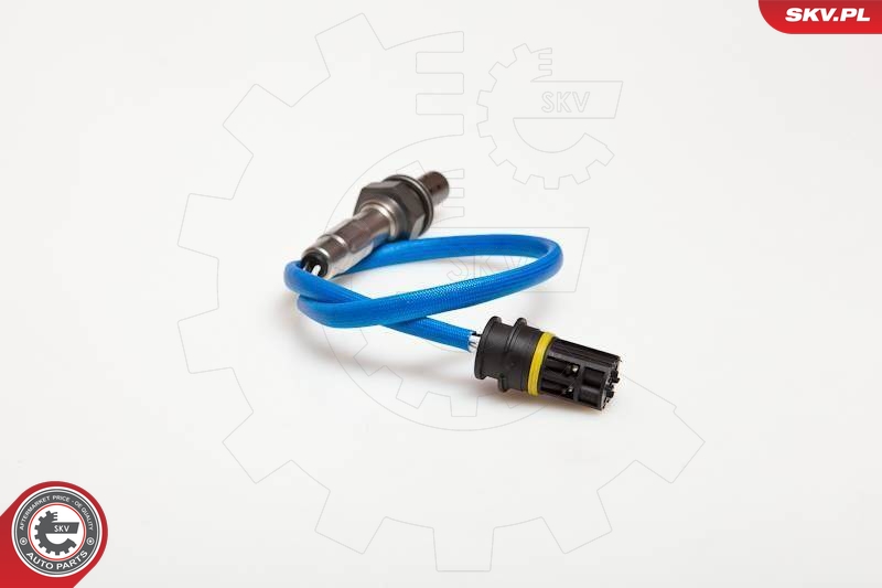 SKV 09SKV080