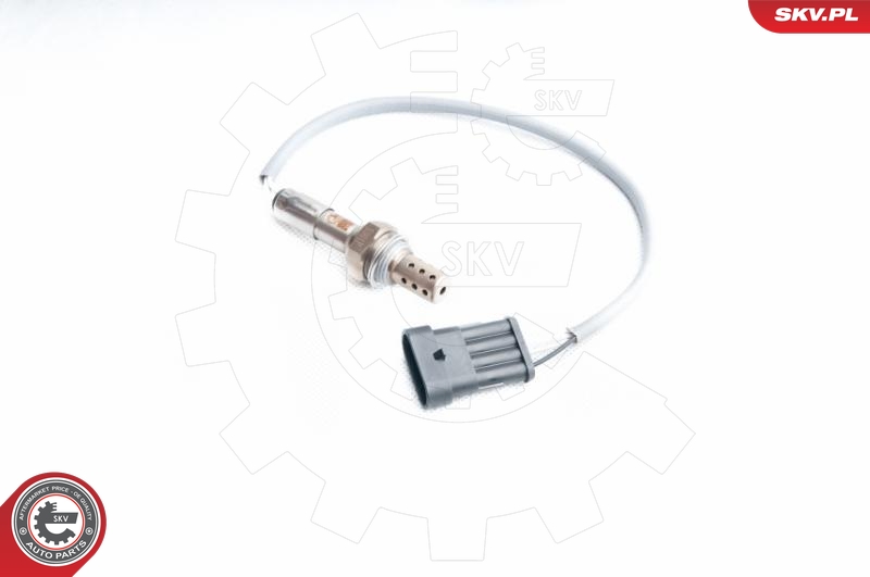 SKV 09SKV104