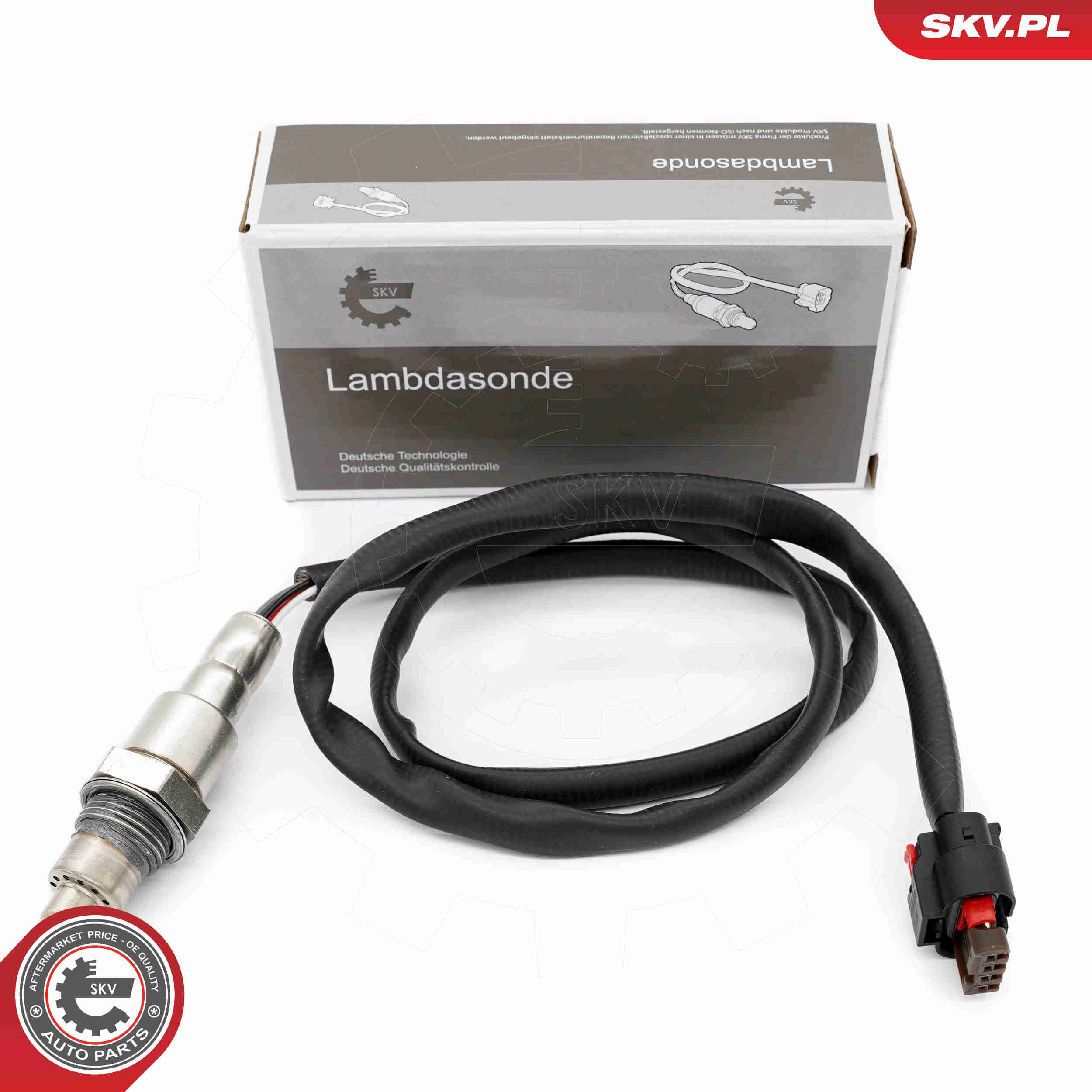 SKV 09SKV168