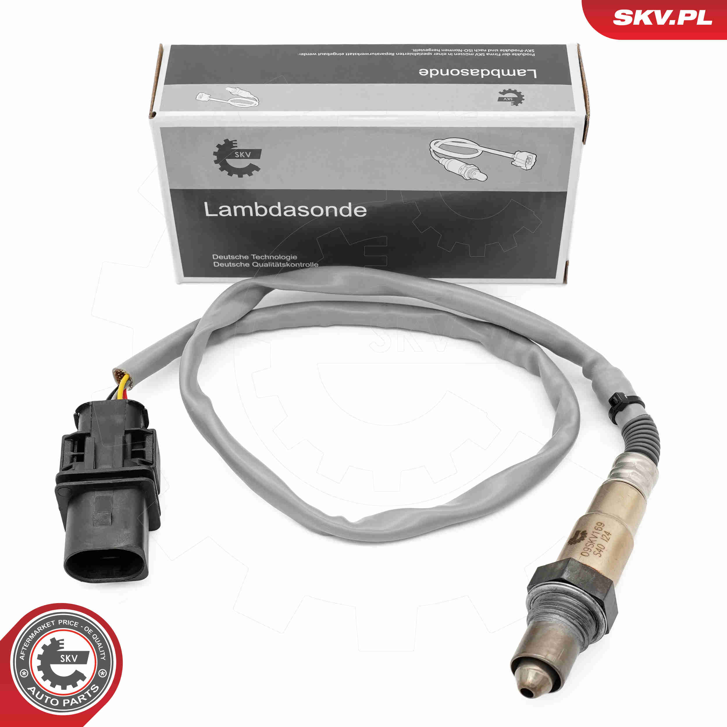 SKV 09SKV169