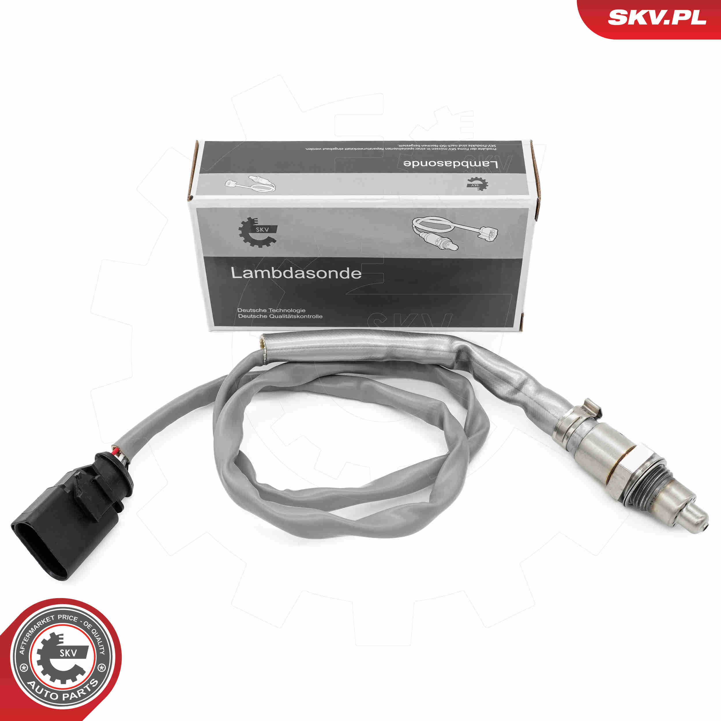 SKV 09SKV176