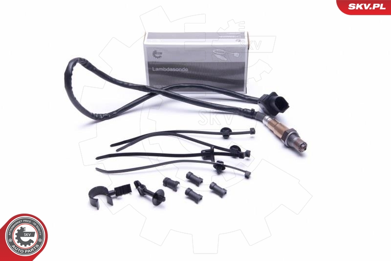 SKV 09SKV423