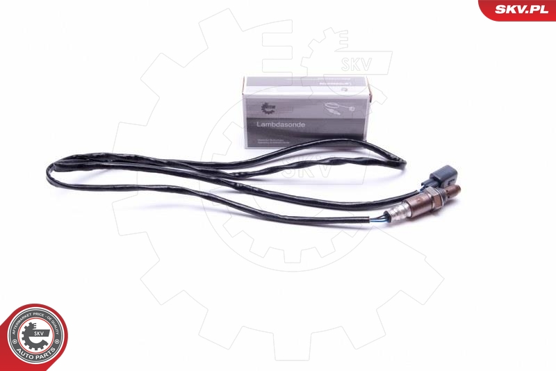 SKV 09SKV441