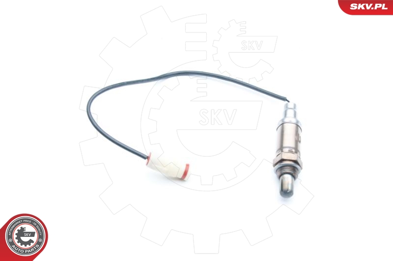 SKV 09SKV524