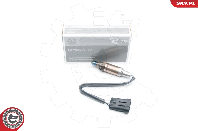 SKV 09SKV595