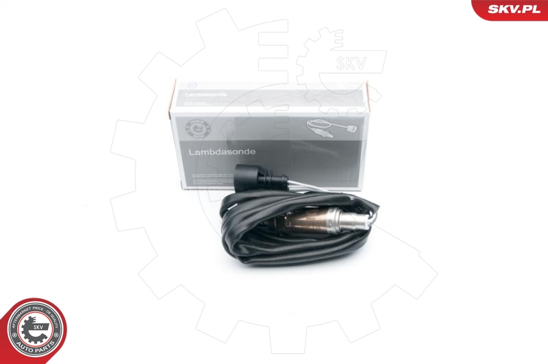 SKV 09SKV601