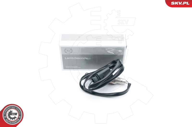 SKV 09SKV602