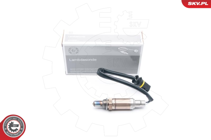 SKV 09SKV607