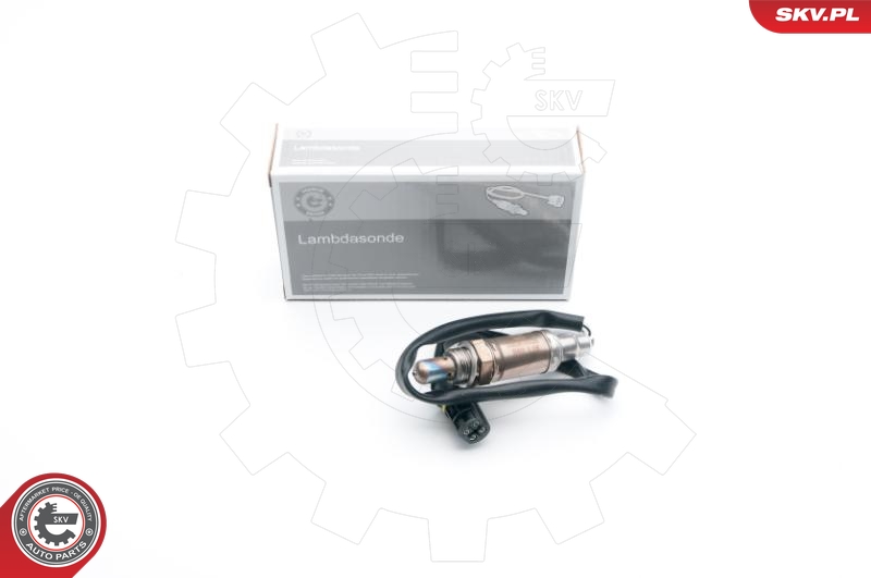 SKV 09SKV608