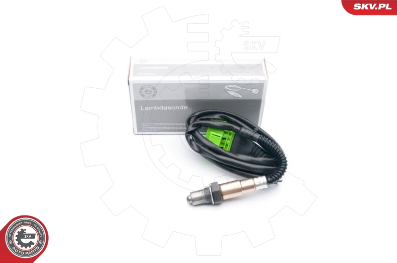 SKV 09SKV646