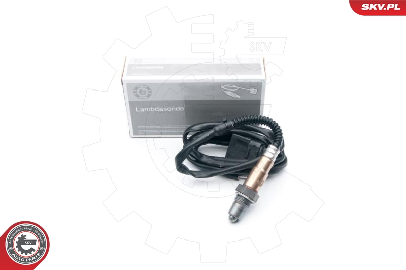 SKV 09SKV658
