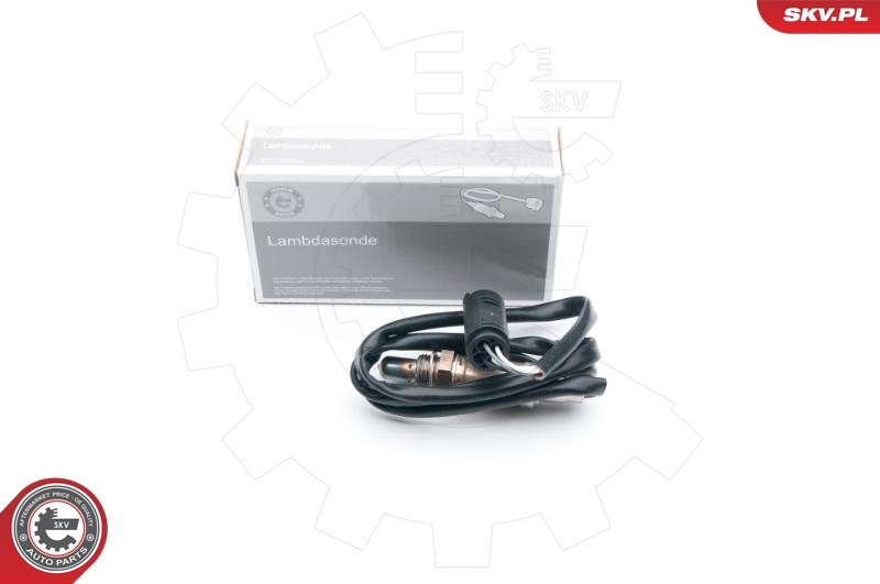 SKV 09SKV665