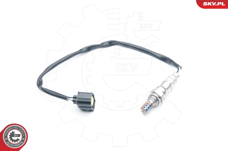 SKV 09SKV679