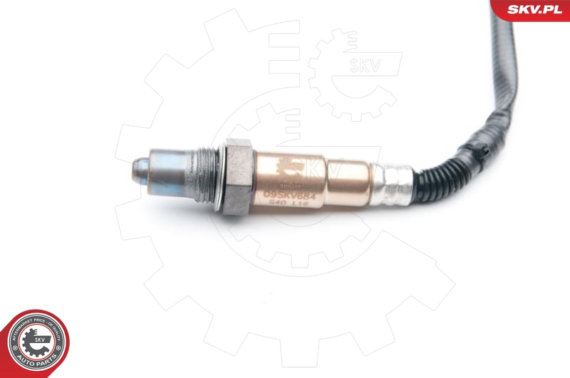 SKV 09SKV684