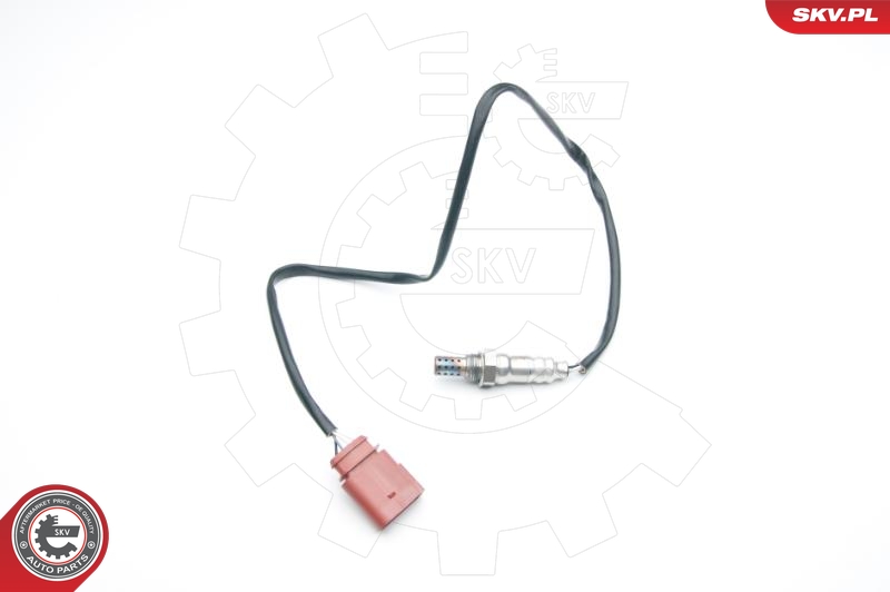SKV 09SKV705