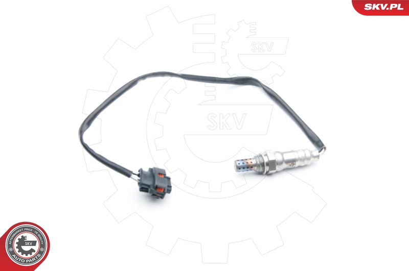 SKV 09SKV709
