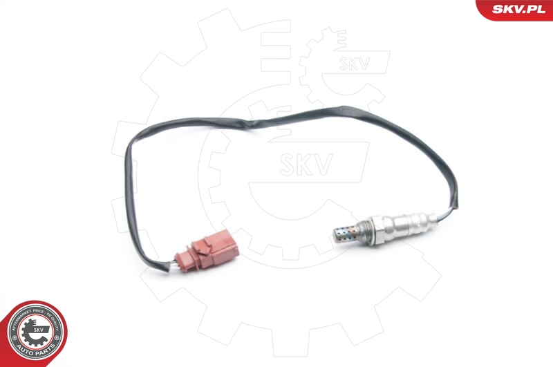 SKV 09SKV712