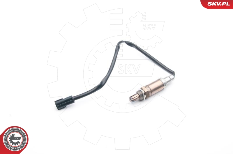 SKV 09SKV720