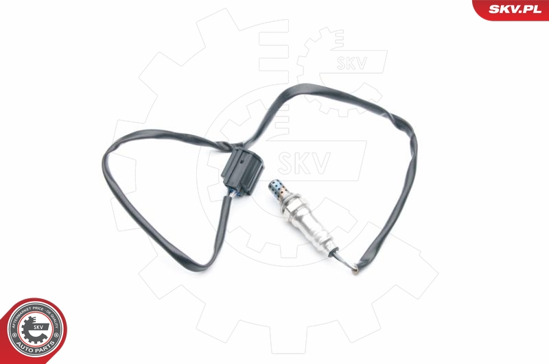 SKV 09SKV735