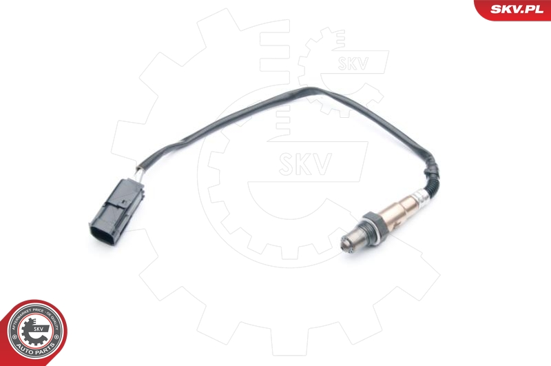 SKV 09SKV738
