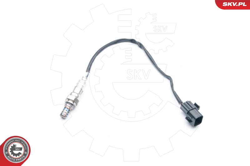 SKV 09SKV743