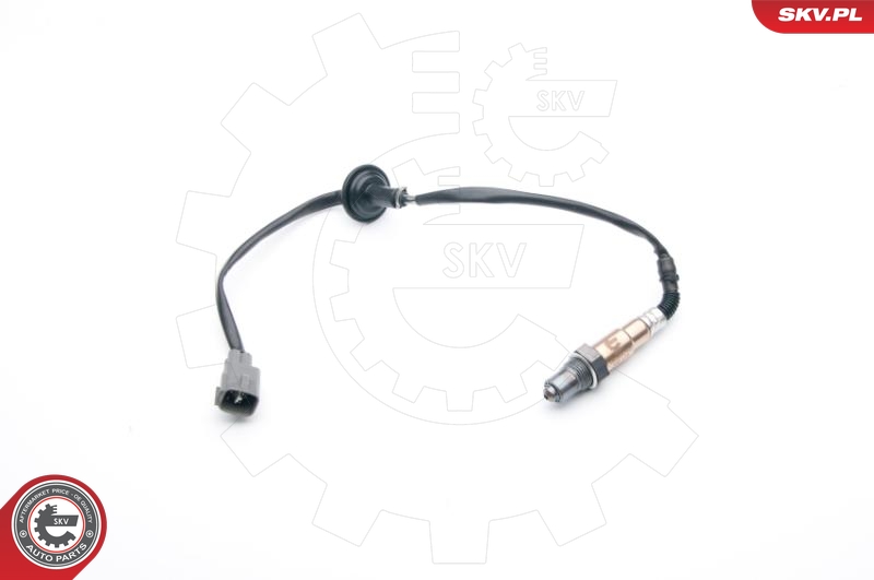 SKV 09SKV748