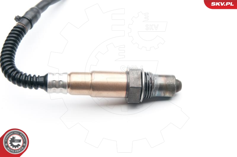 SKV 09SKV855