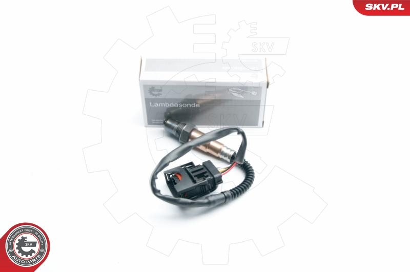 SKV 09SKV865