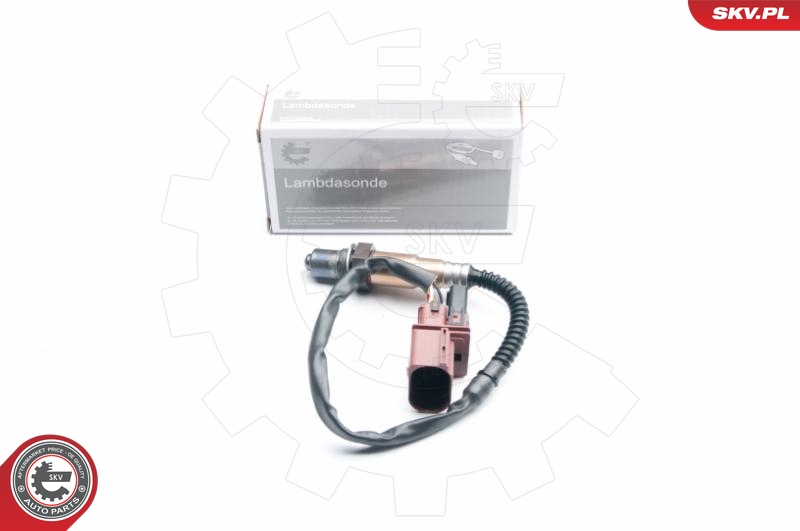 SKV 09SKV871
