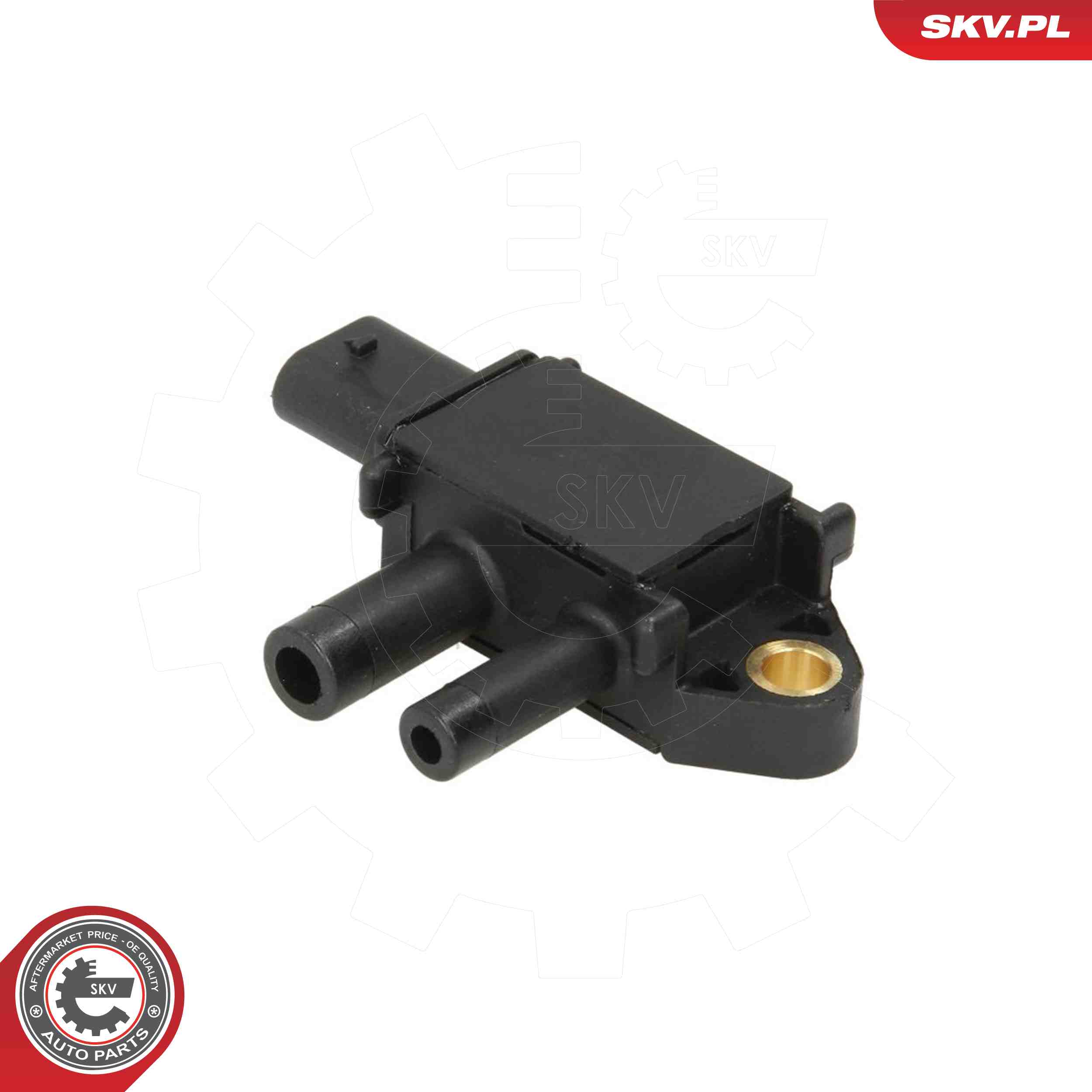 SKV 17SKV038