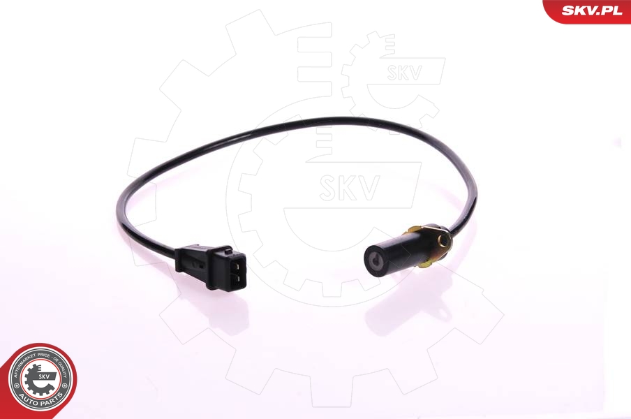 SKV 17SKV205