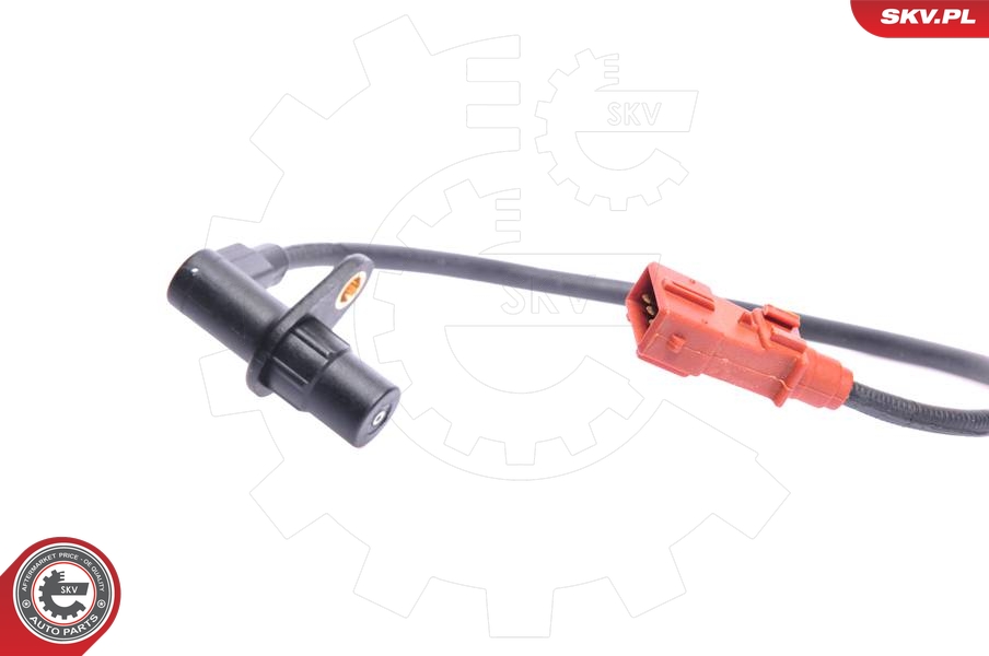 SKV 17SKV207