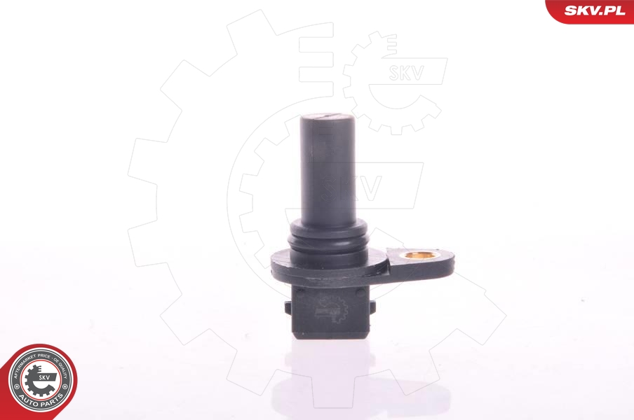 SKV 17SKV224