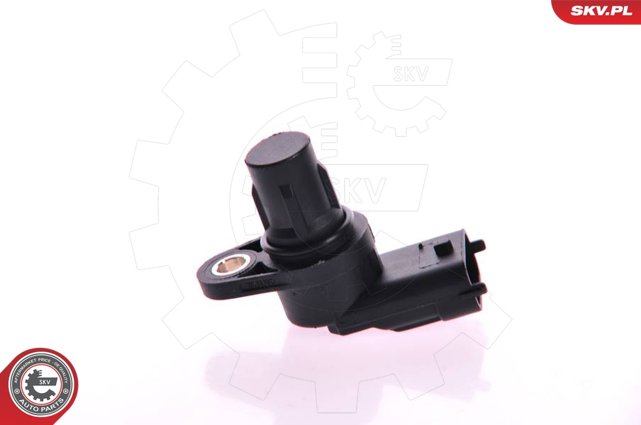 SKV 17SKV229