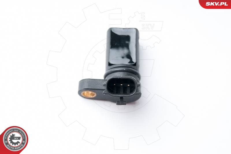 SKV 17SKV255
