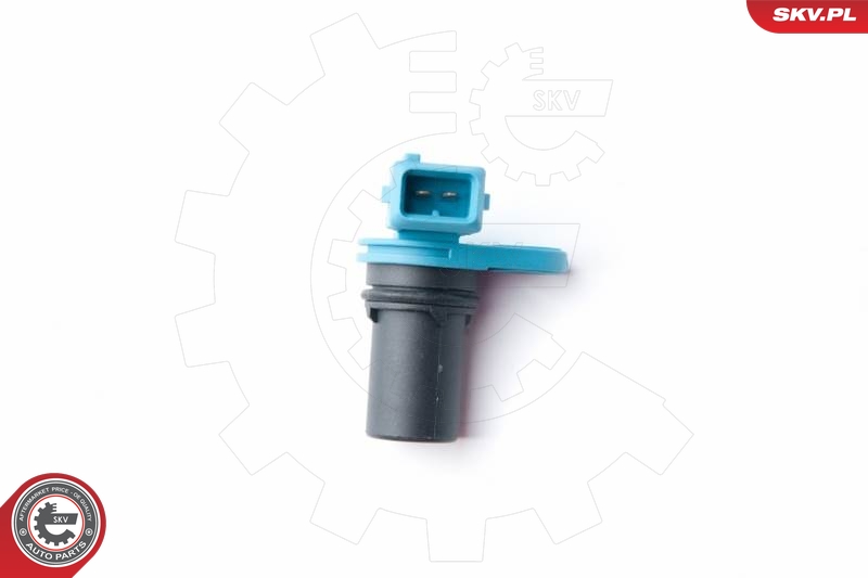 SKV 17SKV258