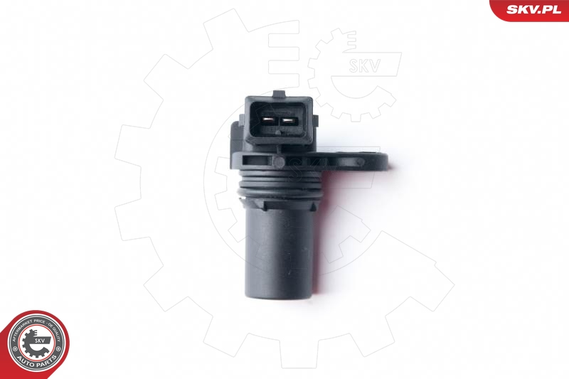 SKV 17SKV259