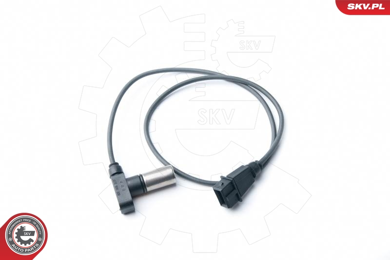SKV 17SKV263