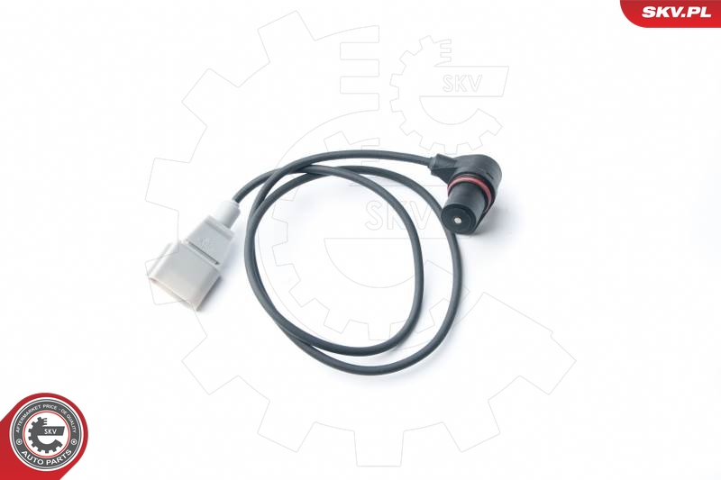 SKV 17SKV271