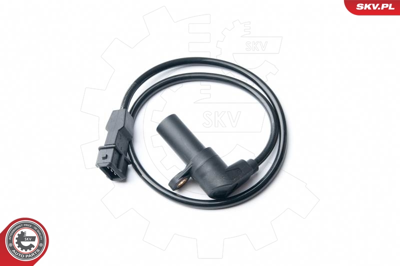 SKV 17SKV286