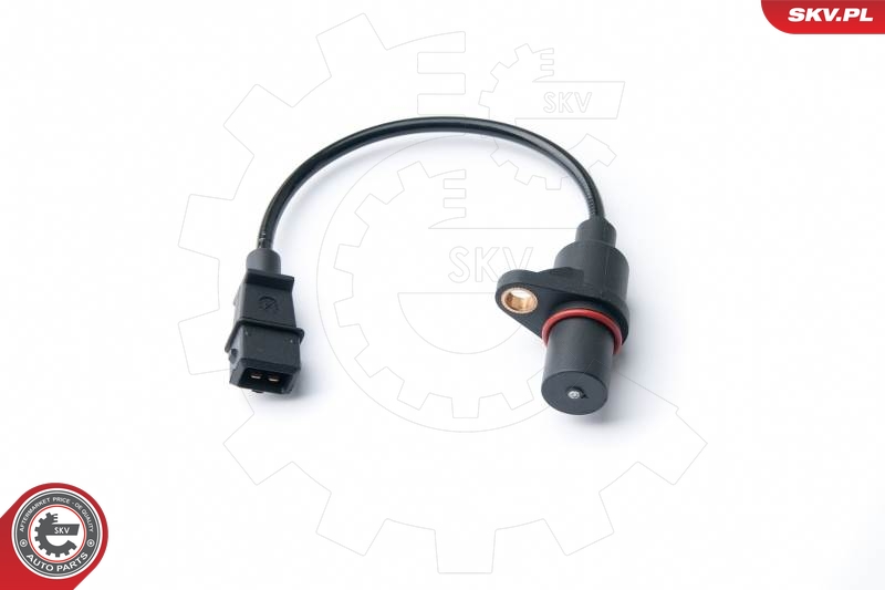 SKV 17SKV303