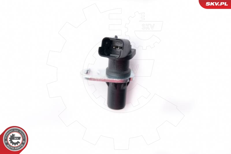 SKV 17SKV309